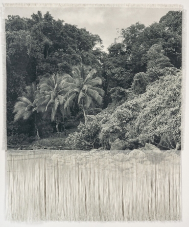 Ana González, PALMAS (PALMS IN CHOCO FOREST), 2024 , Sean Kelly