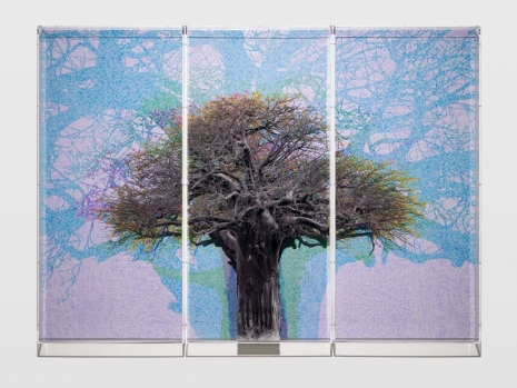 Charles Gaines, Numbers and Trees: Tanzania Series 1, Baobab, Tree #4, Maasai, 2024 , Hauser & Wirth