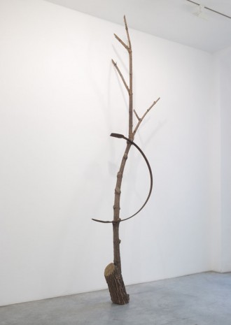 Giuseppe Penone, Albero e gesto, 1985-1991, Marian Goodman Gallery