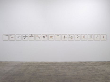 Giuseppe Penone, 16 pagine, 2008, Marian Goodman Gallery