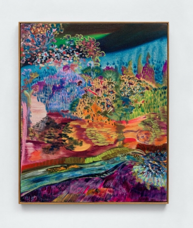 Thalita Hamaoui, Xapiri, 2025 , Marianne Boesky Gallery