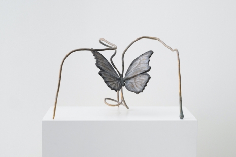 Grace Schwindt , Butterfly, 2022, Galerie Peter Kilchmann