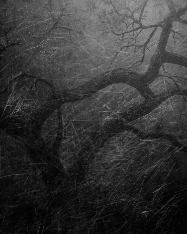 Dirk Braeckman, N.D.-N.E. #18-25, 2025 , Tim Van Laere Gallery