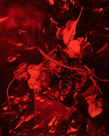 Dirk Braeckman, N.D.-N.E. #33-25, 2025 , Tim Van Laere Gallery