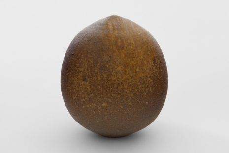 Adam Silverman, LACMA Seed, 2022 , BLUM