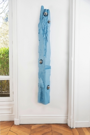 Alfredo Aceto , Campanula VI, 2022 , NO NAME