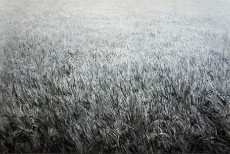 Shi Zhiying, The Infinite Lawn, 2012, James Cohan Gallery