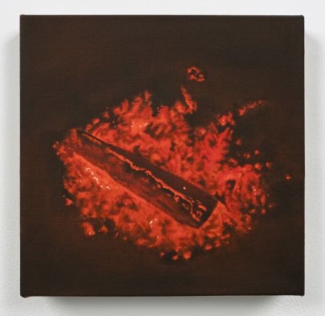 Dana Powell, Embers, 2025 , Tanya Bonakdar Gallery