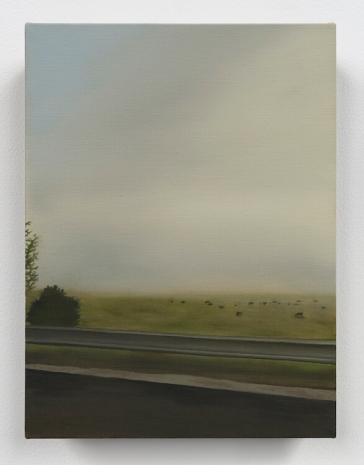 Dana Powell, Roadside, 2025 , Tanya Bonakdar Gallery