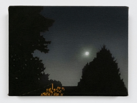 Dana Powell, Pink moon, 2025 , Tanya Bonakdar Gallery