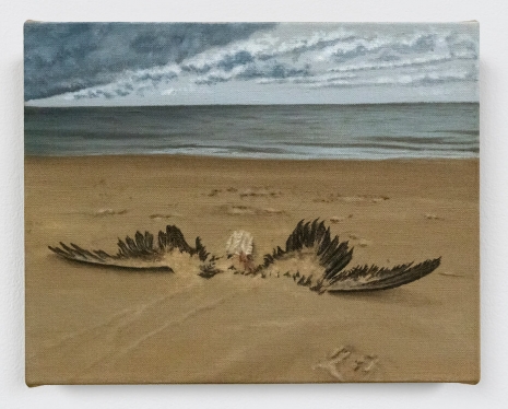 Dana Powell, Shorebird, 2025 , Tanya Bonakdar Gallery