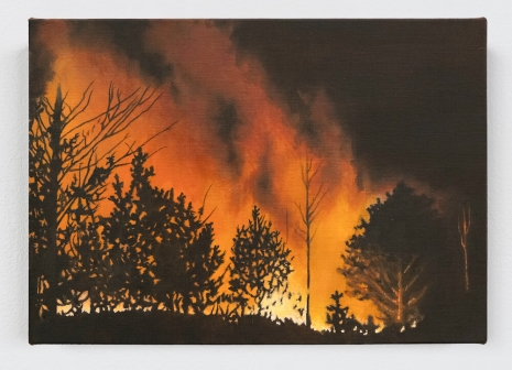 Dana Powell, Forest fire, 2025 , Tanya Bonakdar Gallery