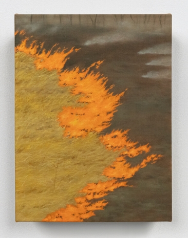 Dana Powell, Controlled burn, 2025 , Tanya Bonakdar Gallery
