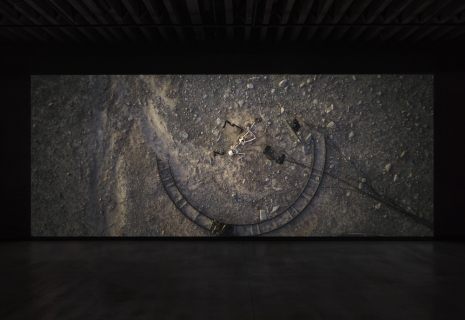 Pierre Huyghe, Camata, 2024 , Marian Goodman Gallery
