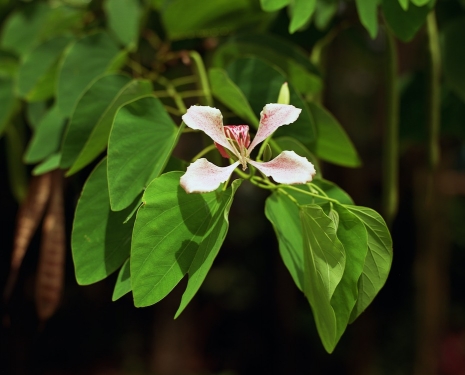 Steve McQueen, Bounty 8, 2024 , Marian Goodman Gallery