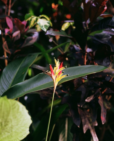 Steve McQueen, Bounty 2, 2024 , Marian Goodman Gallery