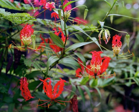 Steve McQueen, Bounty 38, 2024 , Marian Goodman Gallery