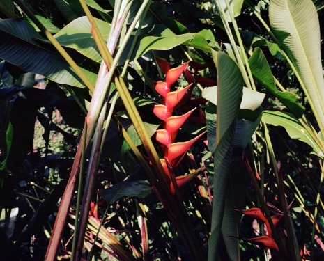 Steve McQueen, Bounty 26, 2024 , Marian Goodman Gallery