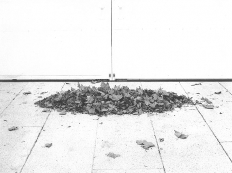 Jochen Lempert, Windshaped, 2024 , Anton Kern Gallery
