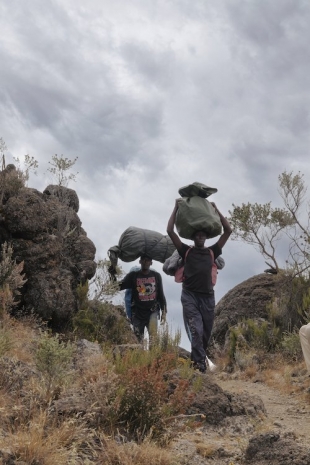 Omar Al Gurg, Everyman's Mountain/ Heathland – 002, 2021, Lawrie Shabibi