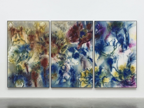 Cai Guo-Qiang, Poppy Series: Hallucination No. 3, 2016-2025 , White Cube