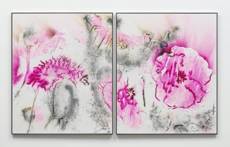 Cai Guo-Qiang, Pink Poppy No. 2, 2021, White Cube