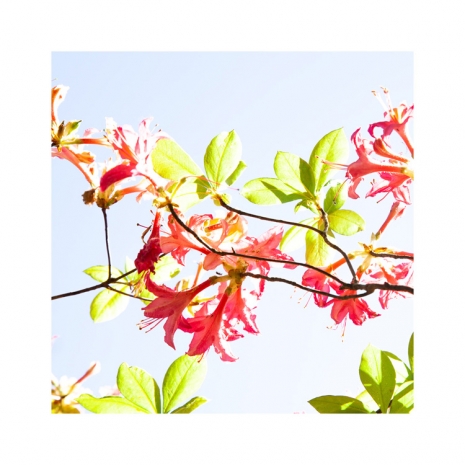 Ralf Peters, Sweets 16 MO, 2024 , BERNHARD KNAUS FINE ART