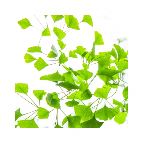 Ralf Peters, Sweets 19 MO, 2024 , BERNHARD KNAUS FINE ART