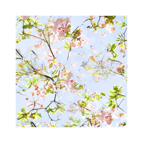 Ralf Peters, Sweets 2 MO, 2024 , BERNHARD KNAUS FINE ART