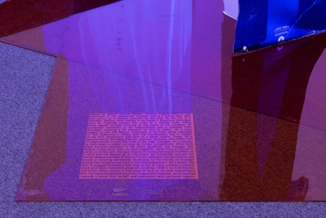 Lutz Bacher, Into the Dimensional Corridor, 2014, Galerie Buchholz