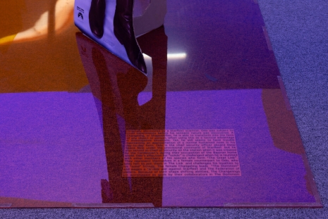 Lutz Bacher, Into the Dimensional Corridor, 2014, Galerie Buchholz