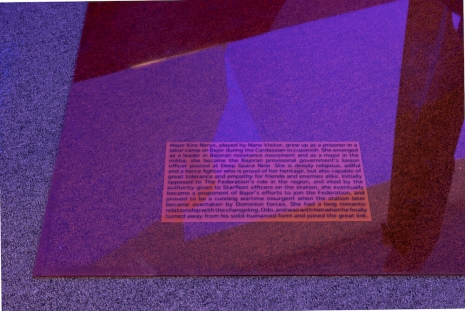 Lutz Bacher, Into the Dimensional Corridor, 2014, Galerie Buchholz