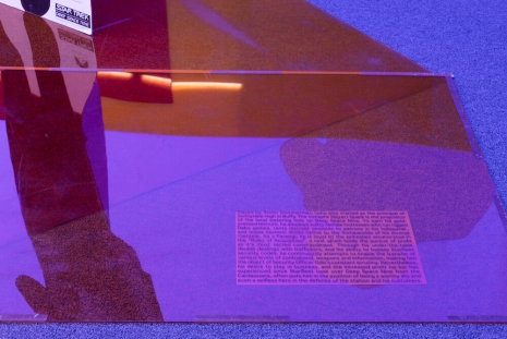 Lutz Bacher, Into the Dimensional Corridor, 2014, Galerie Buchholz