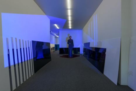 Lutz Bacher, Into the Dimensional Corridor, 2014, Galerie Buchholz