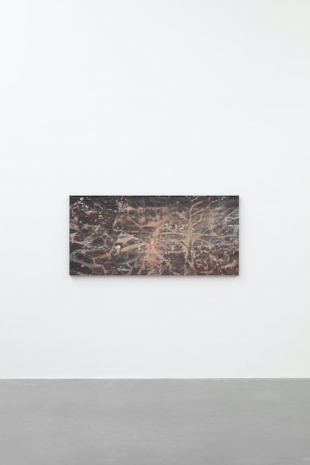 José Eduardo Barajas, Incubación 8, 2025 , Galerie Nordenhake