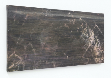 José Eduardo Barajas, Incubación 5, 2025, Galerie Nordenhake