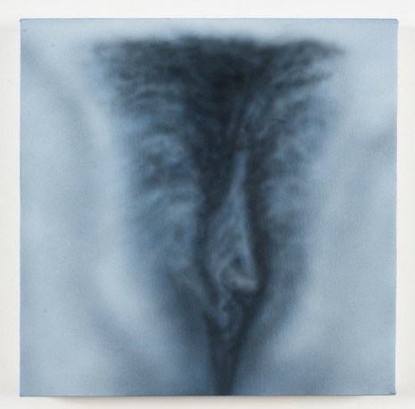 Betty Tompkins, Pussy Painting #20, 2012, Marianne Boesky Gallery
