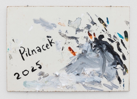 Elke Silvia Krystufek, Pilnacek, 2025, Galerie Bernd Kugler