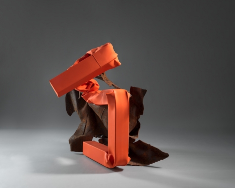 Carol Bove, Idiopathic Abstraction, 2020-25 , Gagosian