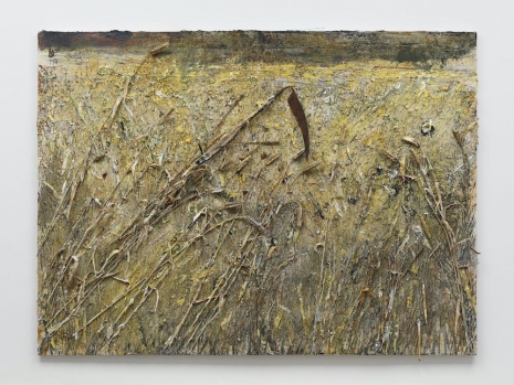 Anselm Kiefer, Sichelschnitt, 2019 , White Cube