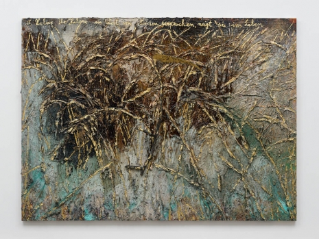 Anselm Kiefer, O Halme, ihr Halme, 2019-24 , White Cube