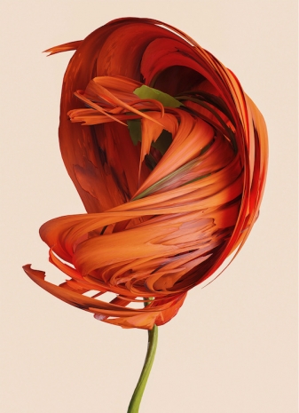 Vincent Fournier, Nerina vortix [Polaris-9b], , Au Cube