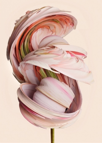 Vincent Fournier, Rosa aetherialis #02 [Novathis-9b], , Au Cube