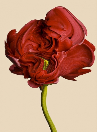 Vincent Fournier, Lucens borealis (Aurius -7c), 2024 , Au Cube