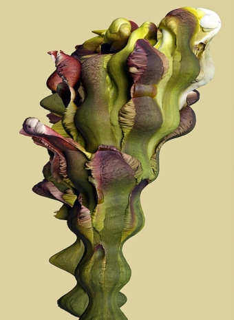 Vincent Fournier, Arcanum ferrata [Albedo-186f], 2023 , Au Cube