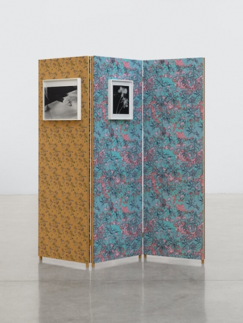 Lisa Oppenheim , Dana Desboro Glover's Hands on Stehli Silks, Holding the 