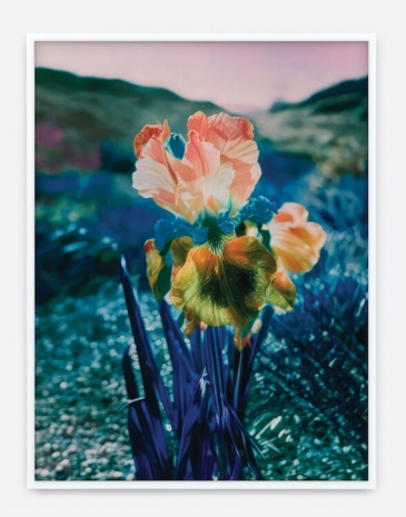 Lisa Oppenheim , Madamm Steichen Version I, 2025 , Tanya Bonakdar Gallery