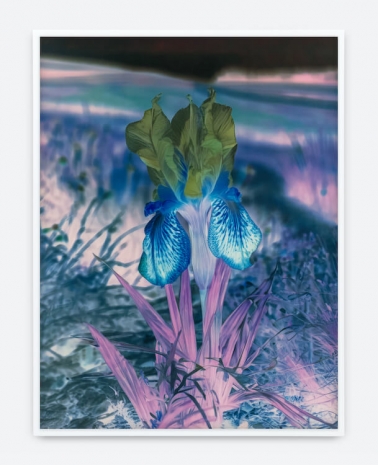 Lisa Oppenheim , Mlle Steichen Version XII, 2025 , Tanya Bonakdar Gallery