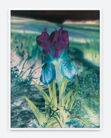 Lisa Oppenheim , Mlle Steichen Version XIII, 2025 , Tanya Bonakdar Gallery