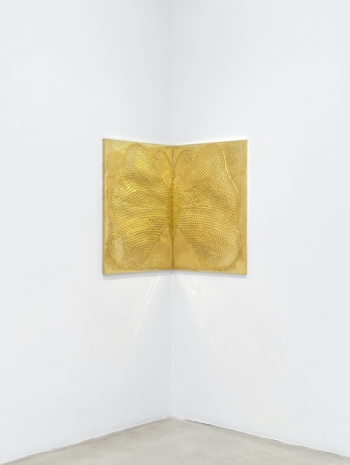 Rodrigo Hernández, Papalotl, 2025 , Tanya Bonakdar Gallery